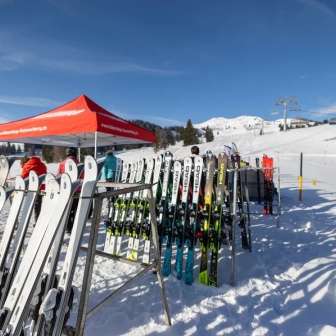 Lady Day insieme divertimento 4a2a2ea4