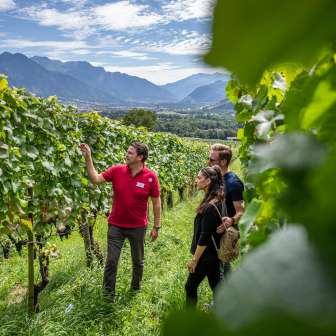 Visita ai vigneti © Wine Tours Switzerland