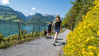 2025, alberi, montagne, blu, fiori, amiche, primavera, specchi d'acqua, verde, cane, guinzaglio, Quinten, lago, bosco, Walensee, escursionismo, acqua, sentiero, nuvole