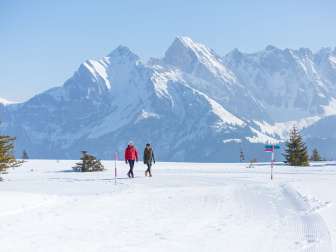 Montagne