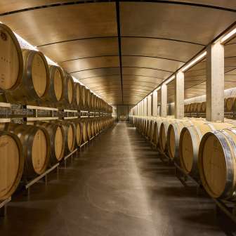 Cantina Davaz Winery © Davaz Winery