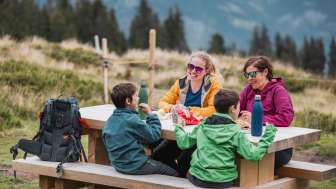 nuvoloso, picnic in famiglia, grigliata, area barbecue, bambini, picnic, cervo rosso di Rohan