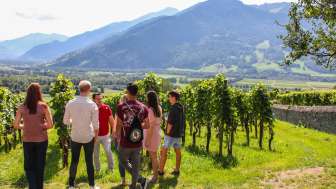 Esperienze prenotabili tour del vino
