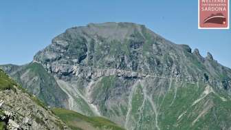 Area Foostock e Foopass