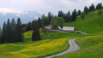 Alpe Schrina