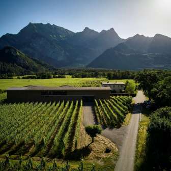 Davaz Winery © Azienda vinicola Davaz