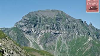 Area Foostock e Foopass