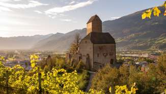 Vigneto_Sargans vigneto, Sargans, vino, castello di Sargans, vino di San Gallo, uva, Gonzen