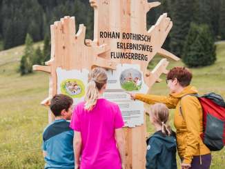 Percorso avventura del cervo rosso di Rohan I bambini