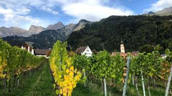 Jürg Obrecht Vini Jenins